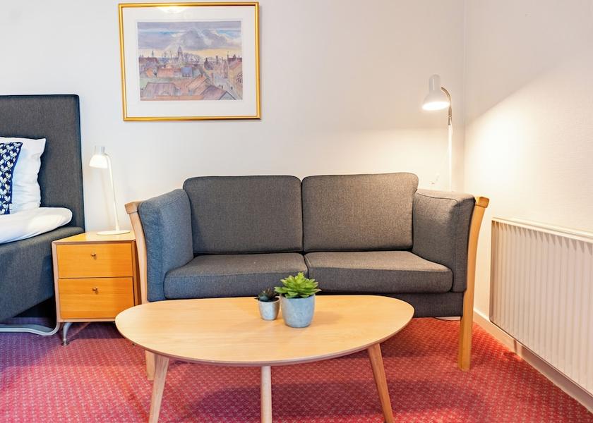 Midtjylland Viborg Room