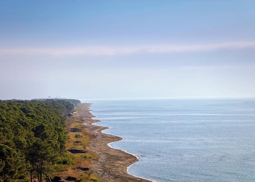 Guria Shekhvetili View from Property