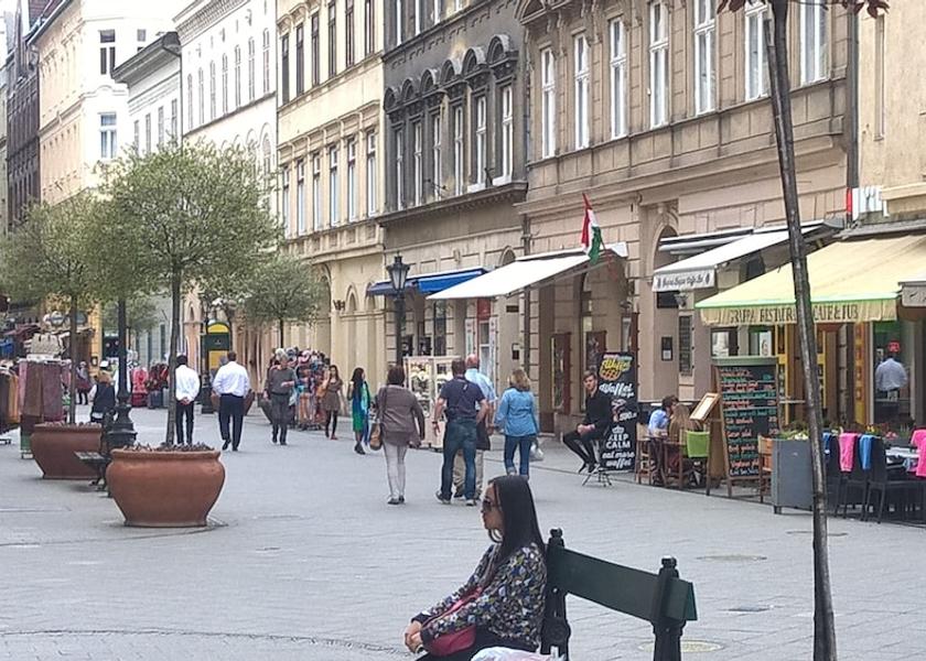  Budapest Exterior Detail