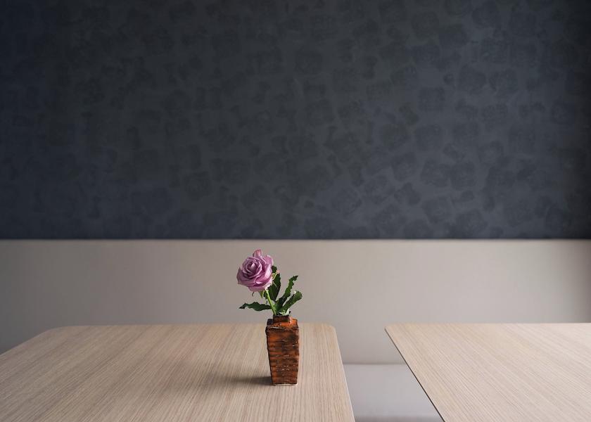 Southern Peninsula Reykjavik Interior Entrance