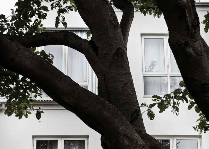 Southern Peninsula Reykjavik Facade