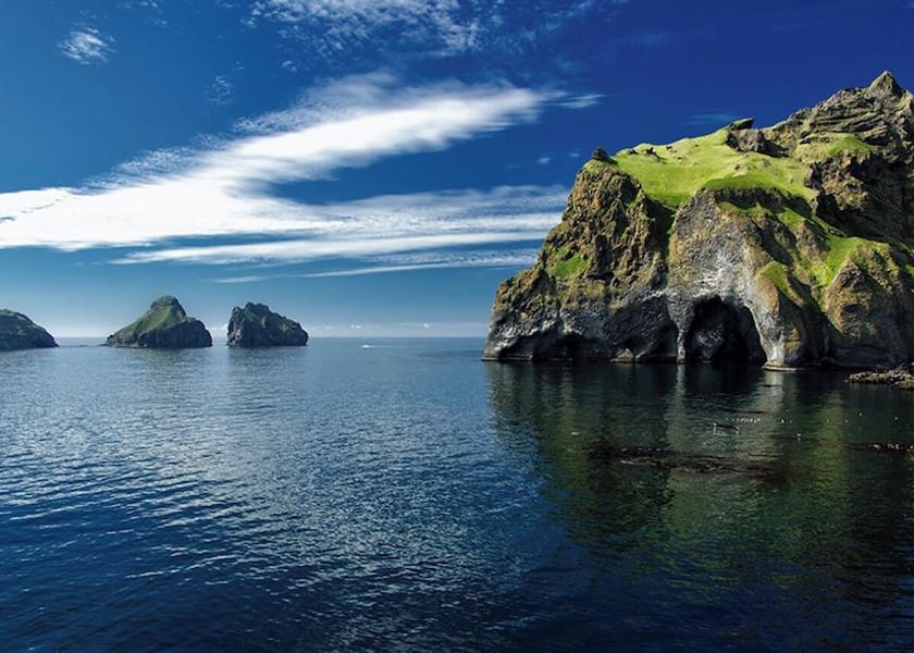  Vestmannaeyjar Ecotours