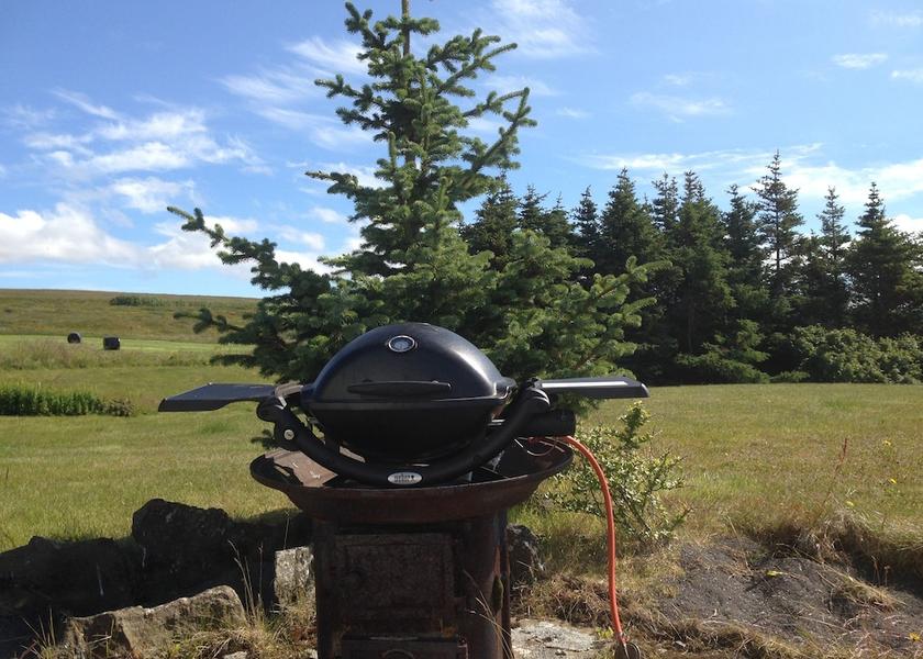 Northwest Region Hvammstangi Barbeque