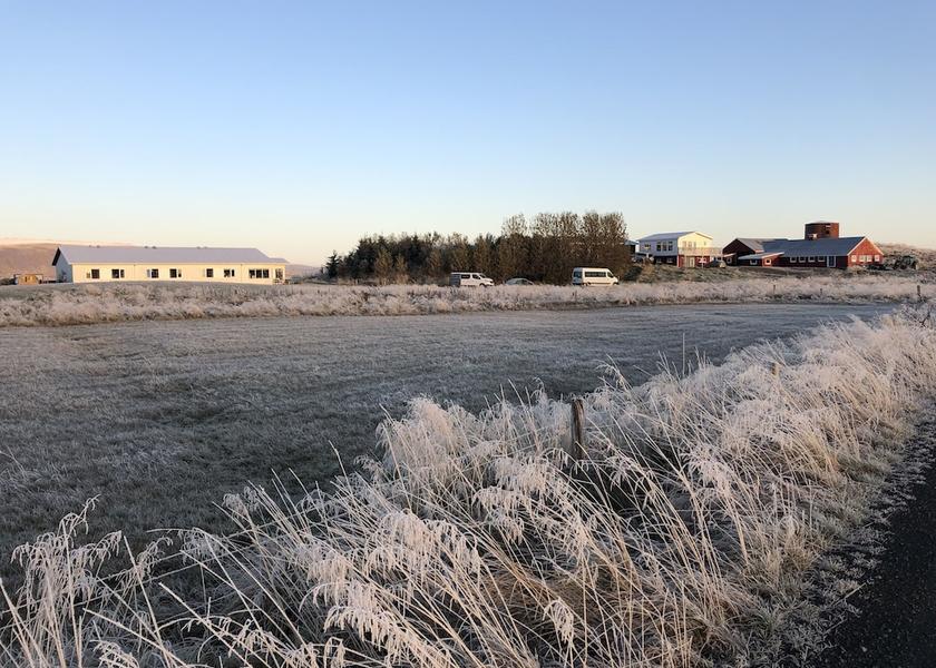 South Iceland Selfoss Facade