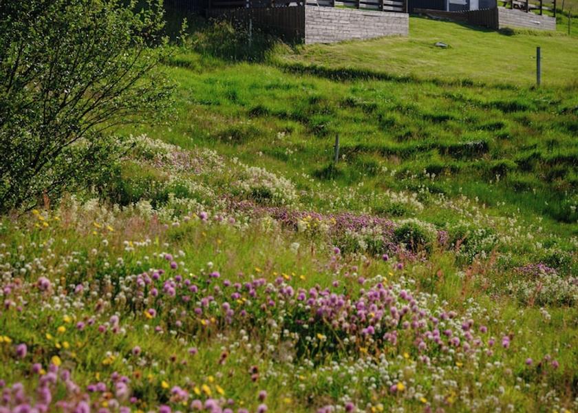 Southern Region Selfoss Exterior