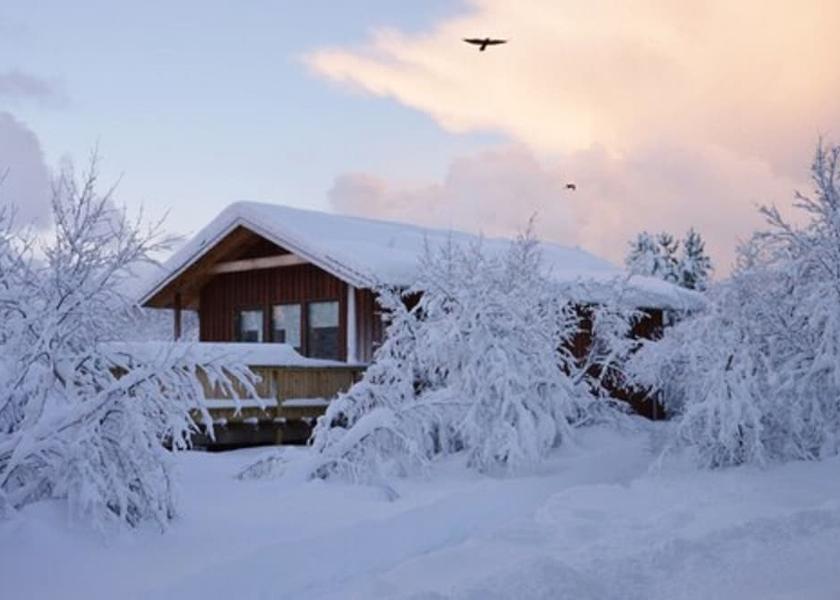 South Iceland Selfoss Exterior Detail