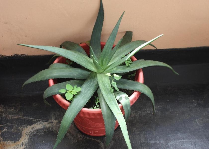  Trou d'Eau Douce Interior Entrance