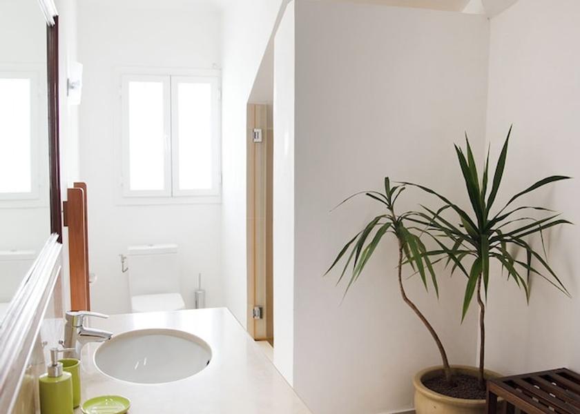 Plaines Wilhems Beau Bassin - Rose Hill Bathroom