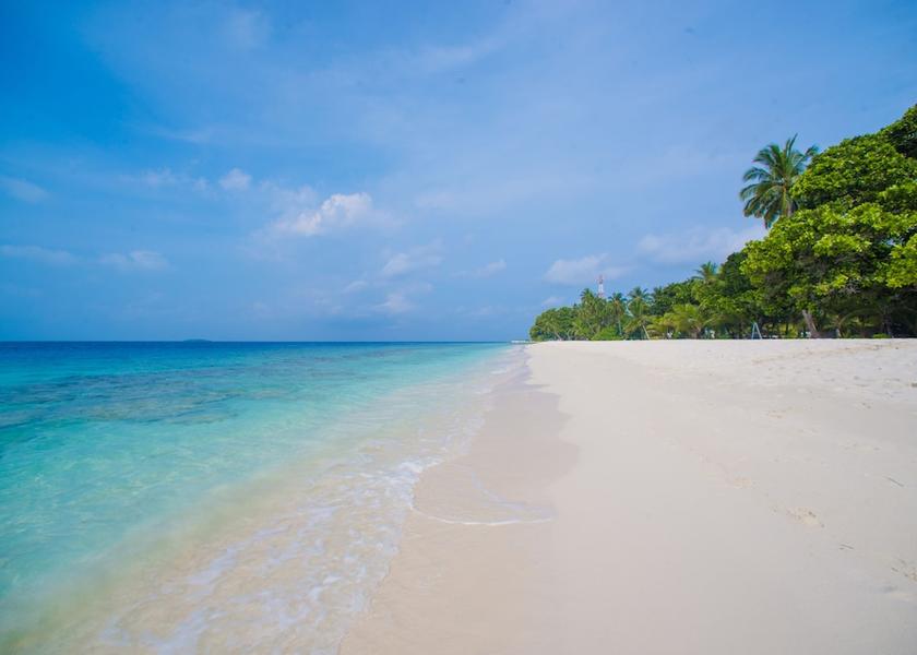 Baa Atoll Dharavandhoo Beach