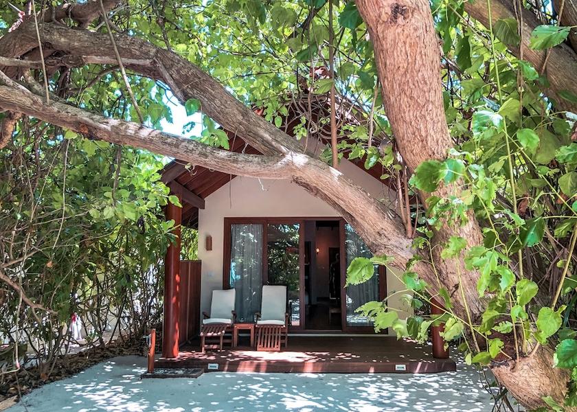 Raa Atoll Filaidhoo Room