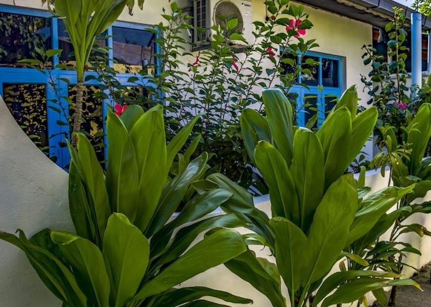 Kaafu Atoll Guraidhoo Living area