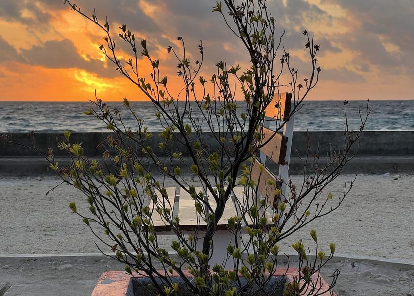 Gaafu Alifu Atoll Maamendhoo Sports Bar
