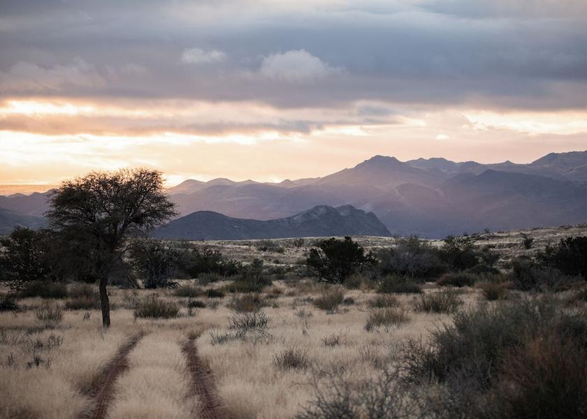 Karas Region Sandfontein Safari and game