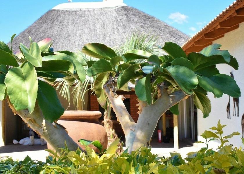 Otjozondjupa Region Otjiwarongo Property grounds