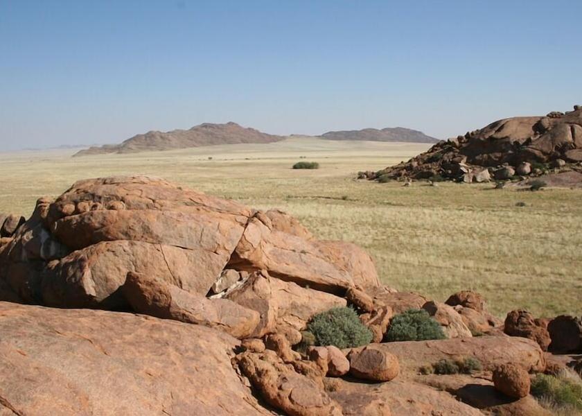  Solitaire Primary image