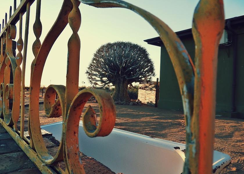 Children's Play Area