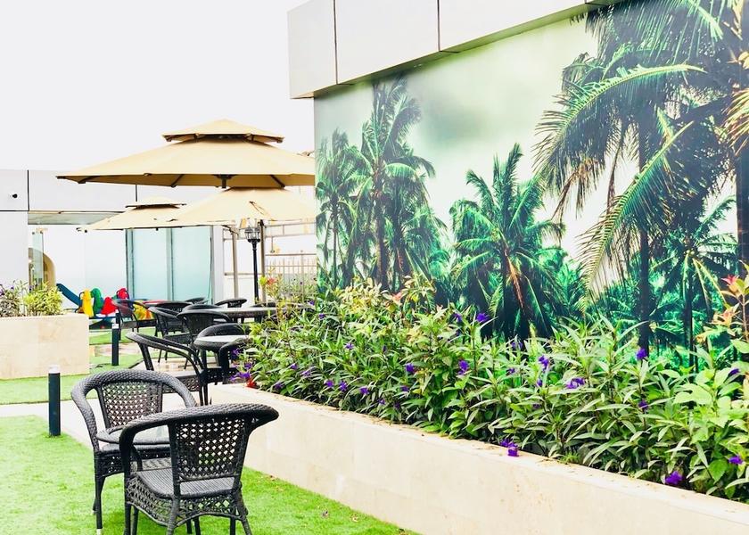 Dhofar Governorate Salalah Garden