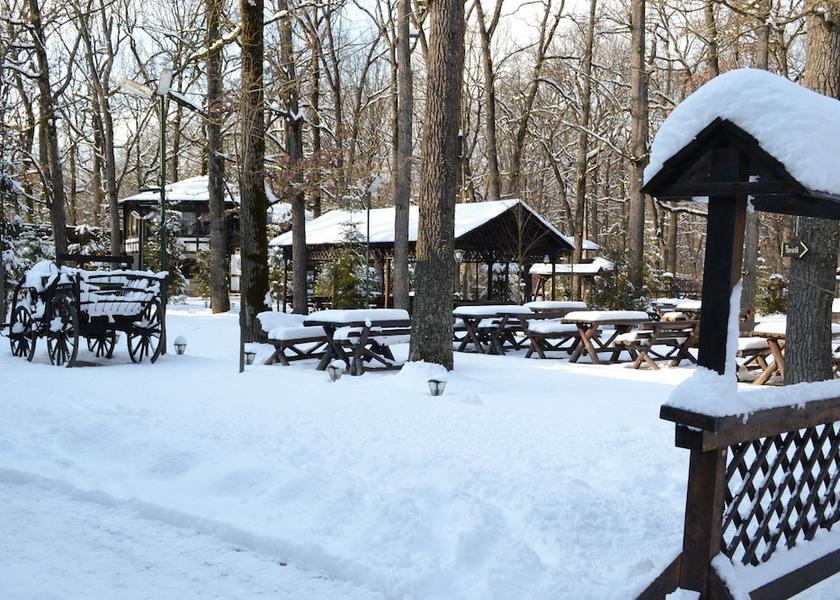  Pitesti Property Grounds