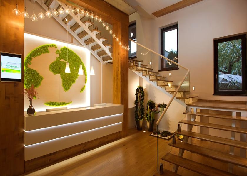  Satu Mare Interior Entrance