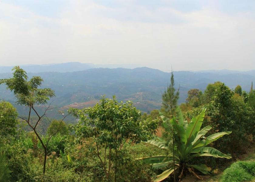  Gisakura View from Property