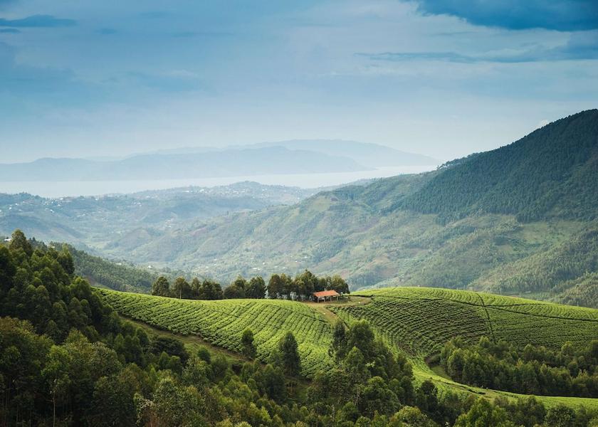 Western Province Bushekeri View from property