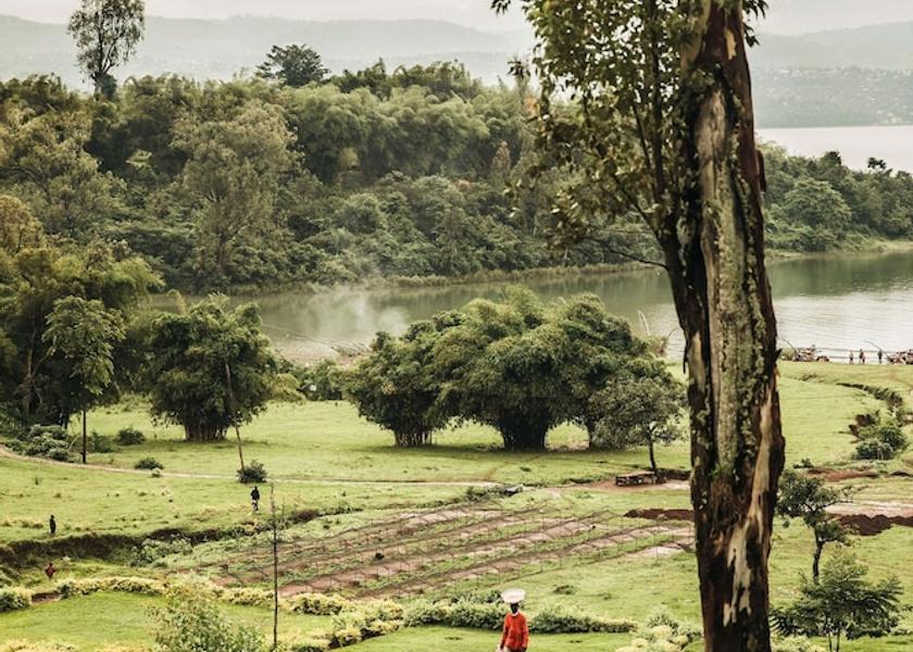  Nyungwe Forest Reserve Amenity