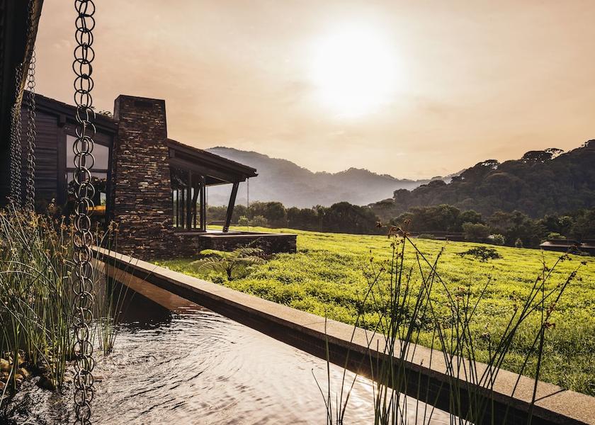  Nyungwe Forest Reserve Property Grounds