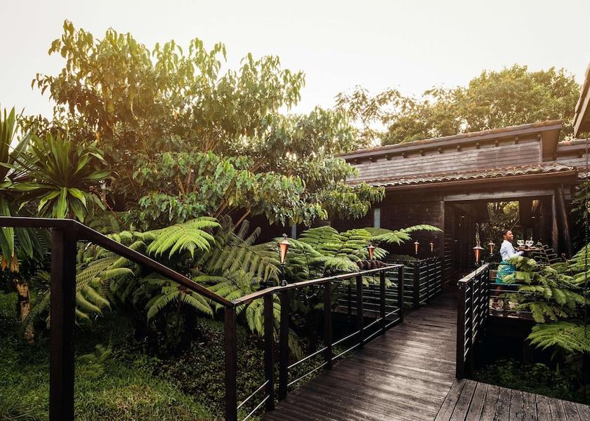  Nyungwe Forest Reserve Garden