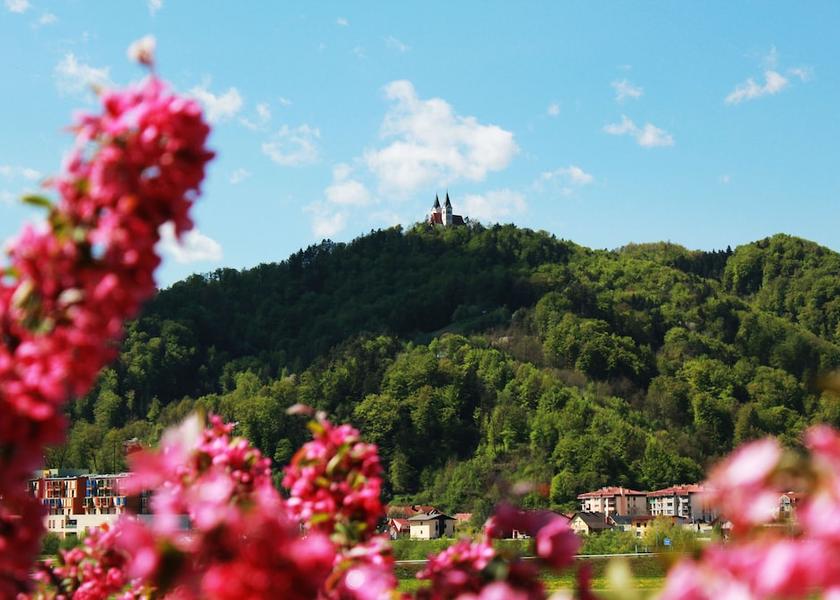  Lasko View from Property