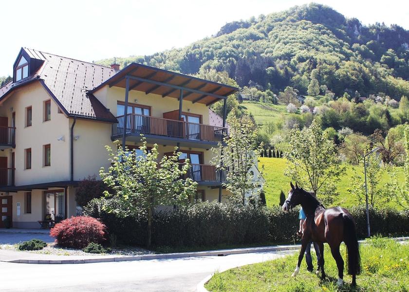  Lasko Property Grounds