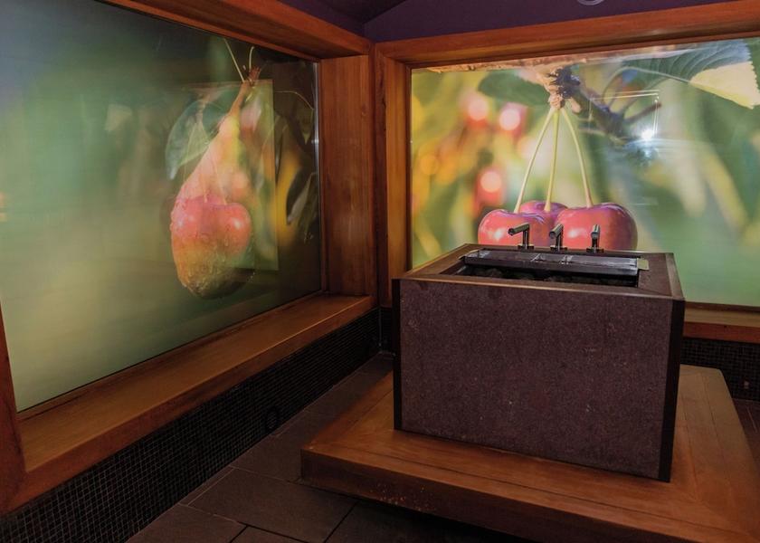  Smarjeske Toplice Sauna