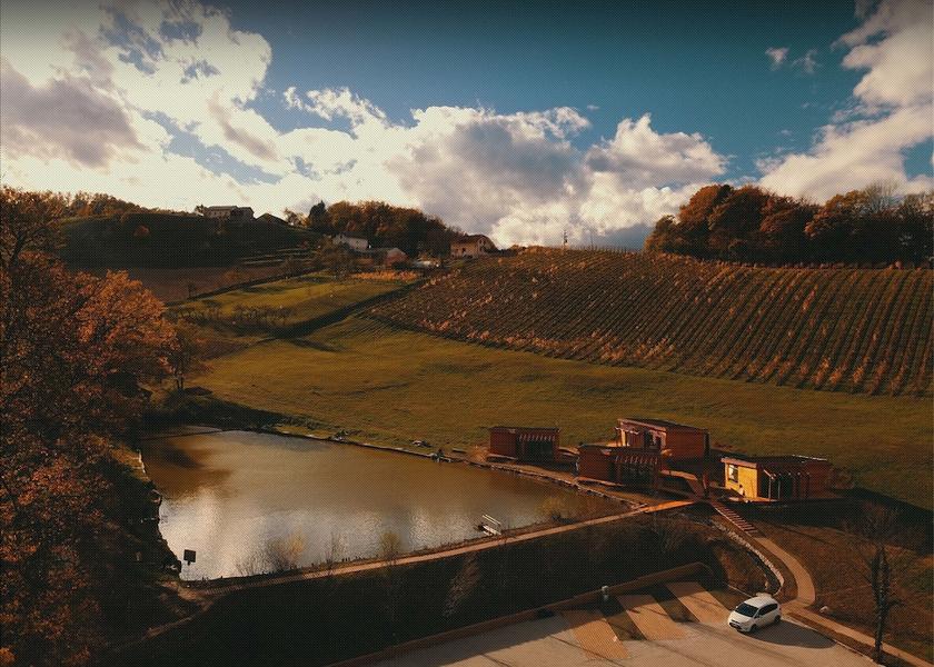  Pesnica View from Property