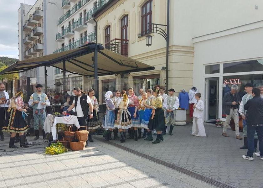  Piestany Property Grounds