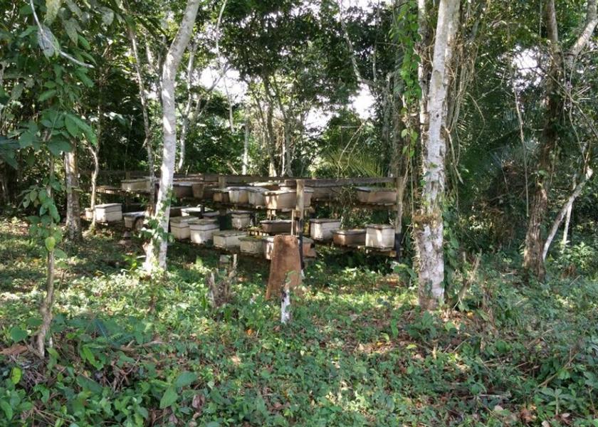  Mukono Exterior Detail