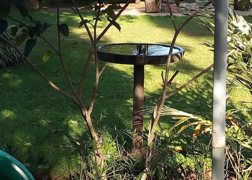  Bugala Island Exterior Detail