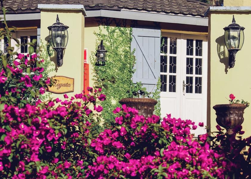 Maldonado Punta Ballena Garden