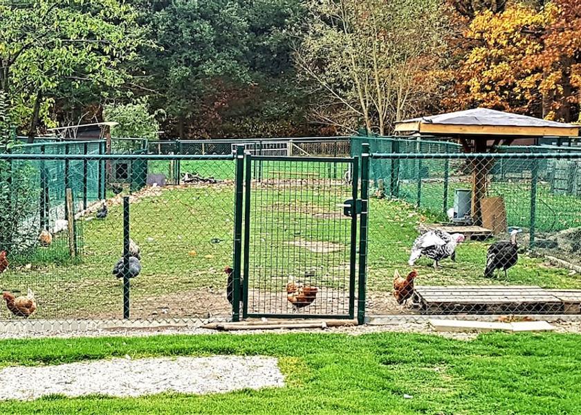 Flemish Region Herselt Exterior Detail