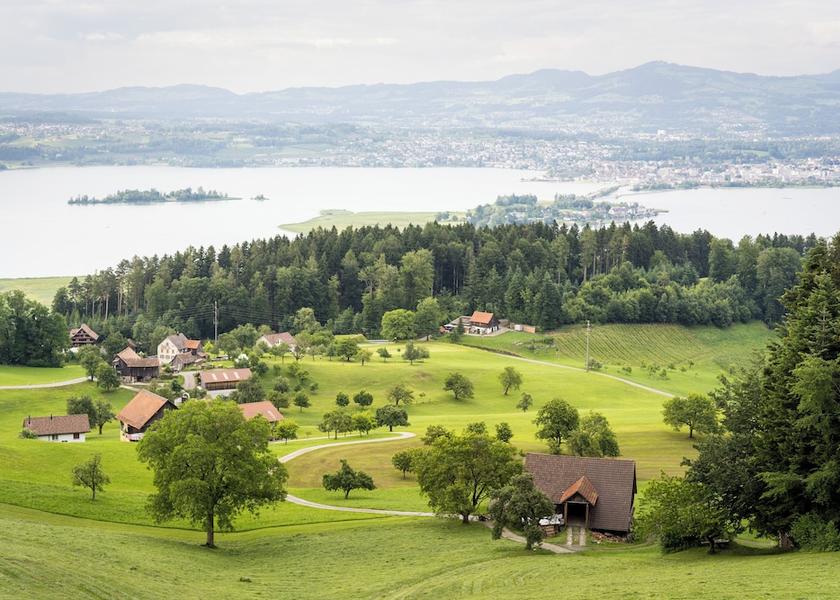 Land View from Property