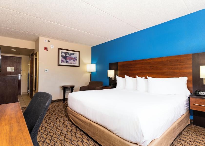 Arizona Grand Canyon Room