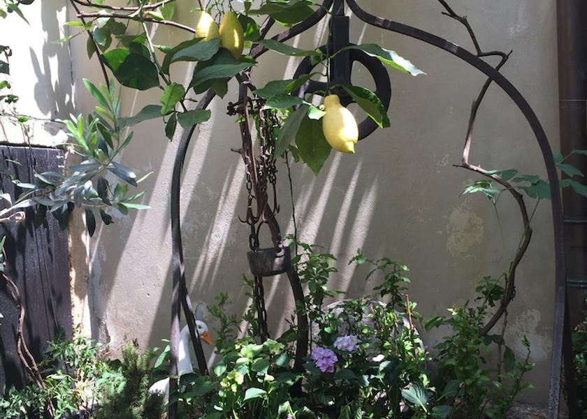 Veneto Verona Garden