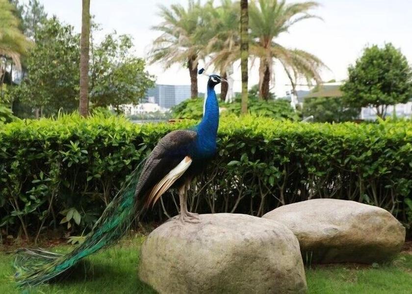 Zhejiang Hangzhou Exterior Detail