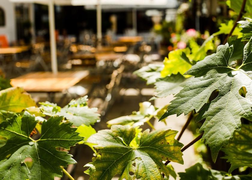 Hessen Bensheim Exterior Detail