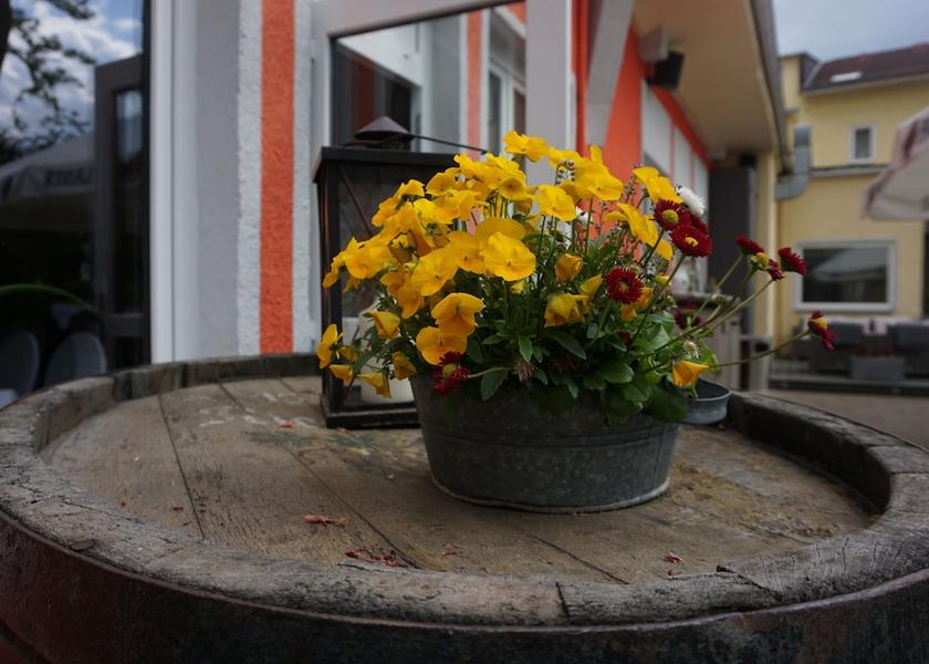 Hessen Bensheim Terrace/patio