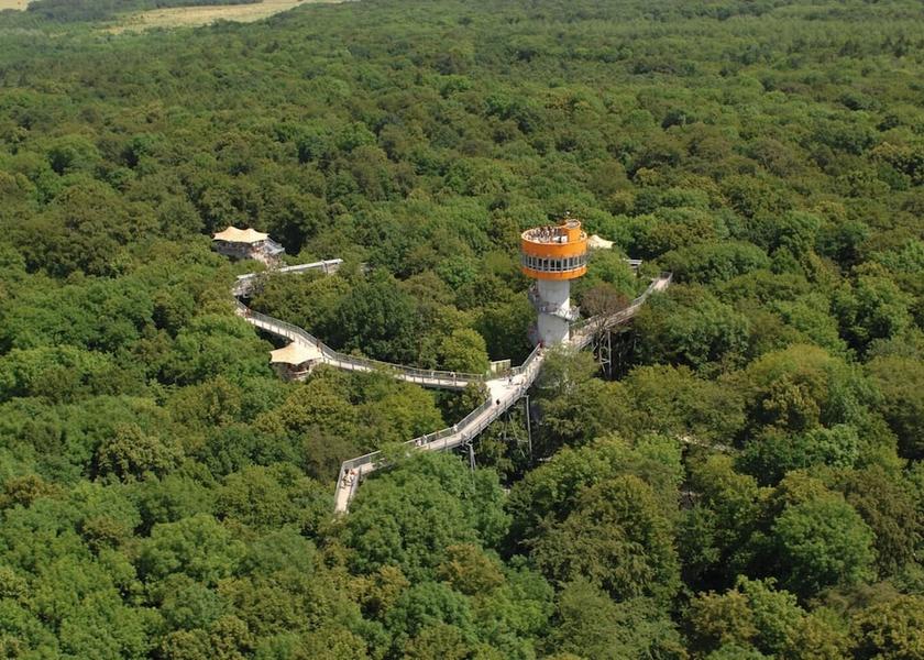 Thuringia Bad Langensalza Hiking