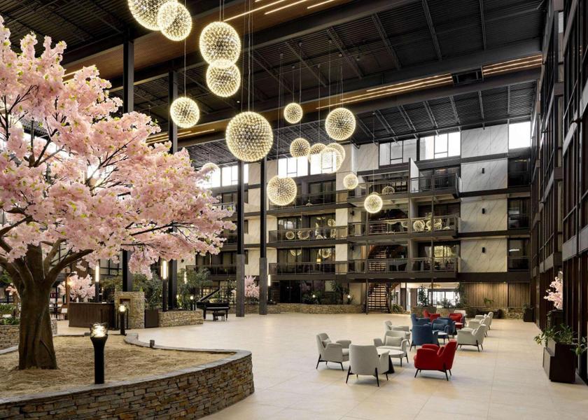 Alberta Edmonton lobby