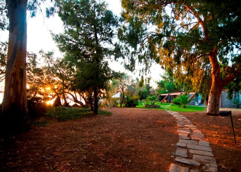 Central Greece Eretria Terrace