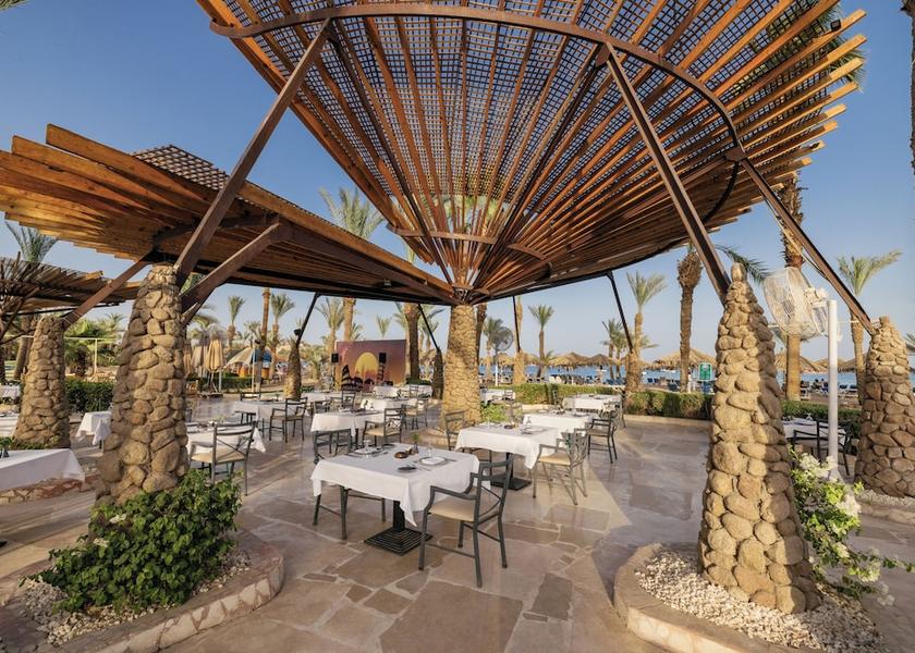 South Sinai Governate Sharm El Sheikh Restaurant