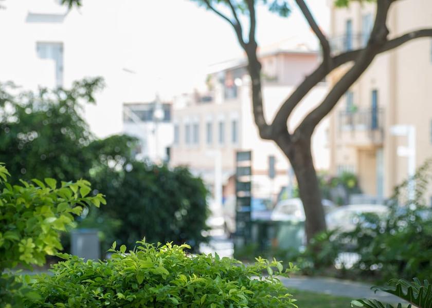  Tel Aviv Courtyard