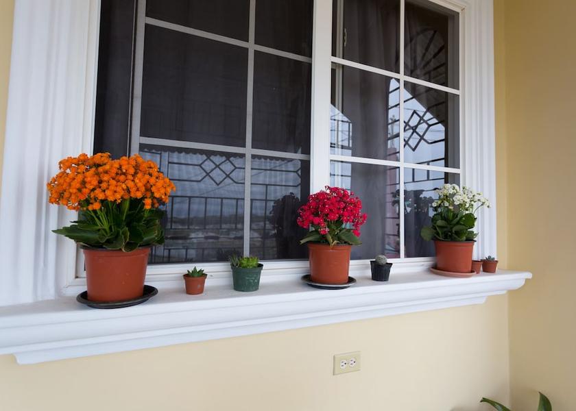 Saint Catherine Hellshire Exterior Detail