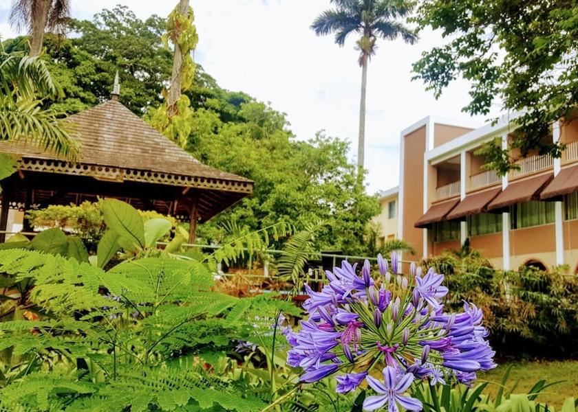 Manchester Mandeville Property Grounds